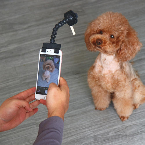 Hirundo Lovely Pet Selfie Stick