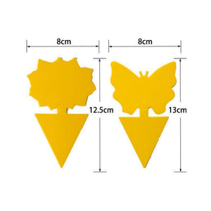 Sticky Trap, Fruit Fly Fungus Gnat