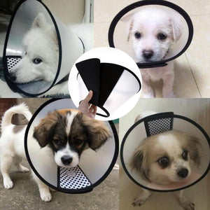 E-Collar for pets (8 sizes optional)